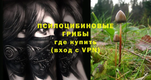 прущий лед Вязьма