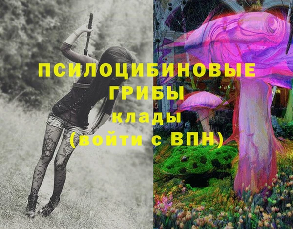 прущий лед Вязьма